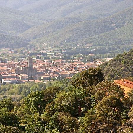 Gite Des Orgues De La Sybille Agave Canigou Kültér fotó